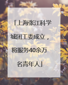 上海张江科学城团工委成立，将服务40余万名青年人