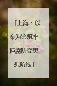 上海：以案为鉴筑牢拒腐防变思想防线