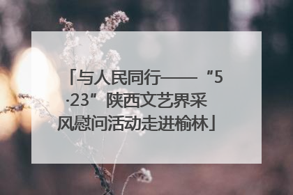 与人民同行——“5·23”陕西文艺界采风慰问活动走进榆林