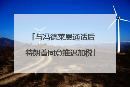 与冯德莱恩通话后 特朗普同意推迟加税