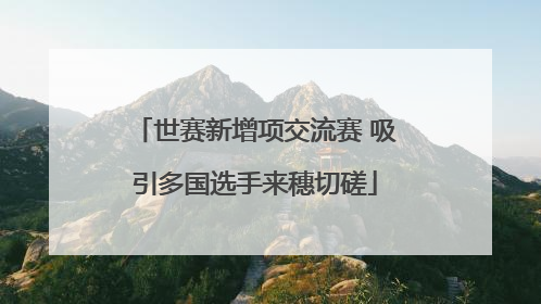 世赛新增项交流赛 吸引多国选手来穗切磋