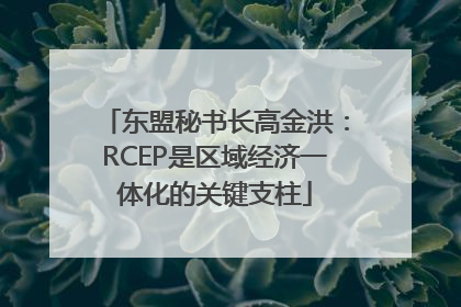 东盟秘书长高金洪：RCEP是区域经济一体化的关键支柱