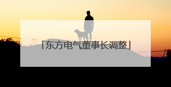 东方电气董事长调整
