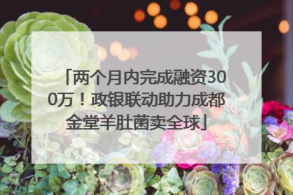 两个月内完成融资300万！政银联动助力成都金堂羊肚菌卖全球