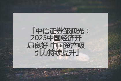 中信证券邹迎光：2025中国经济开局良好 中国资产吸引力持续提升