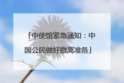 中使馆紧急通知：中国公民做好撤离准备