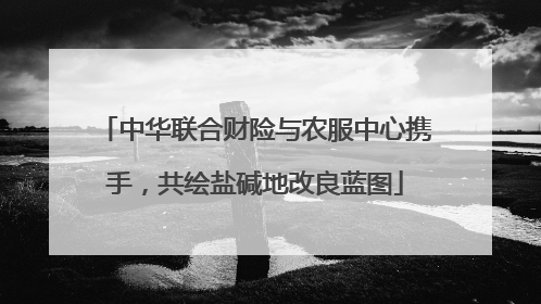 中华联合财险与农服中心携手，共绘盐碱地改良蓝图