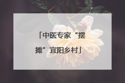 中医专家“摆摊”宜阳乡村