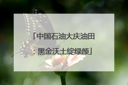 中国石油大庆油田：黑金沃土绽绿颜
