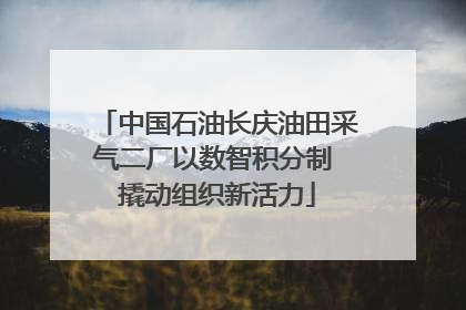 中国石油长庆油田采气二厂以数智积分制 撬动组织新活力