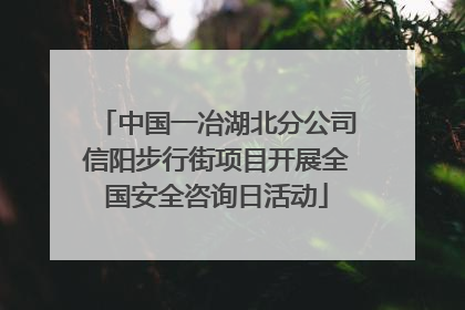中国一冶湖北分公司信阳步行街项目开展全国安全咨询日活动