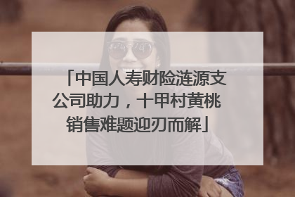 中国人寿财险涟源支公司助力，十甲村黄桃销售难题迎刃而解