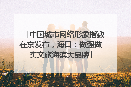 中国城市网络形象指数在京发布，海口：做强做实文旅海滨大品牌