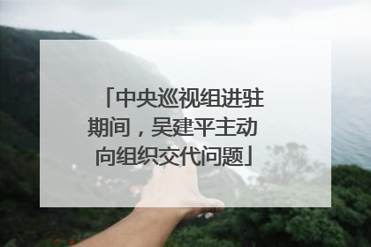 中央巡视组进驻期间，吴建平主动向组织交代问题