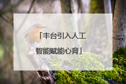 丰台引入人工智能赋能心育