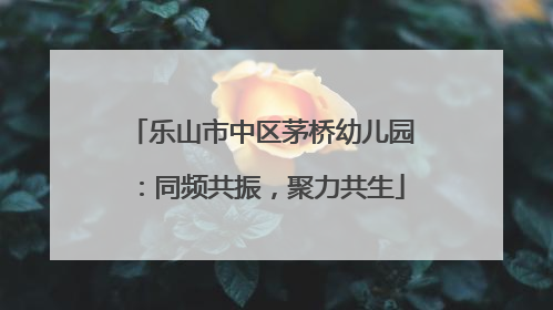 乐山市中区茅桥幼儿园：同频共振，聚力共生