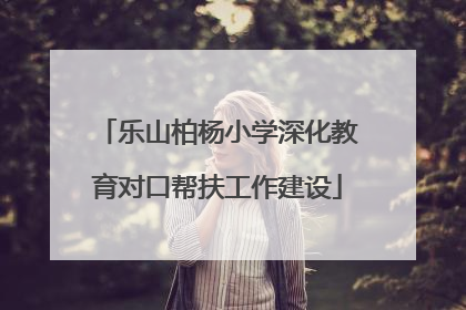 乐山柏杨小学深化教育对口帮扶工作建设