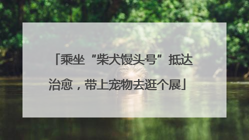 乘坐“柴犬馒头号”抵达治愈，带上宠物去逛个展