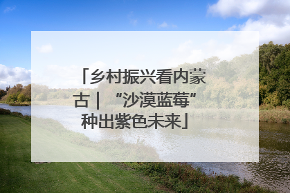 乡村振兴看内蒙古｜“沙漠蓝莓”种出紫色未来