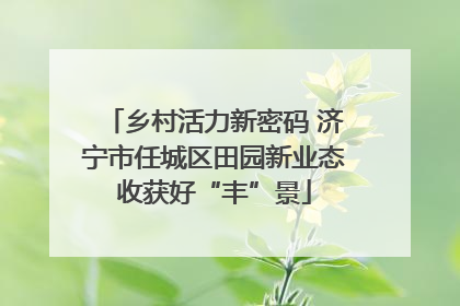 乡村活力新密码 济宁市任城区田园新业态收获好“丰”景