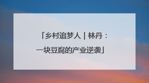 乡村追梦人｜林丹：一块豆腐的产业逆袭