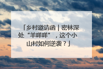 乡村邀请函｜密林深处“羊咩咩”，这个小山村如何逆袭？