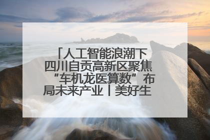 人工智能浪潮下 四川自贡高新区聚焦“车机龙医算数”布局未来产业丨美好生活有“盐”味