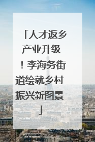 人才返乡 产业升级！李海务街道绘就乡村振兴新图景