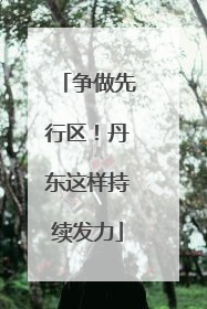 争做先行区！丹东这样持续发力