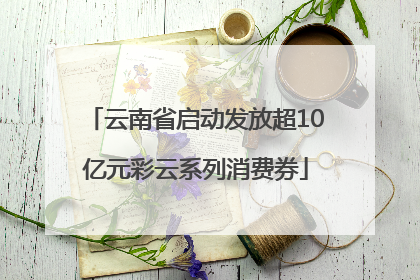 云南省启动发放超10亿元彩云系列消费券