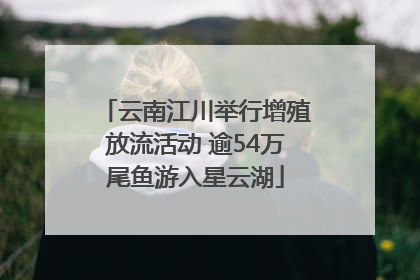 云南江川举行增殖放流活动 逾54万尾鱼游入星云湖