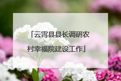 云霄县县长调研农村幸福院建设工作