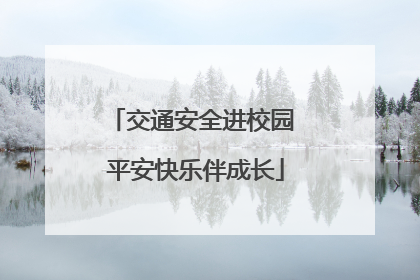 交通安全进校园 平安快乐伴成长