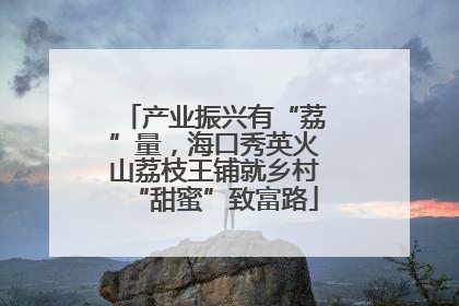 产业振兴有“荔”量，海口秀英火山荔枝王铺就乡村“甜蜜”致富路
