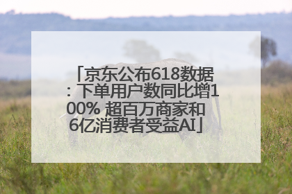 京东公布618数据：下单用户数同比增100% 超百万商家和6亿消费者受益AI