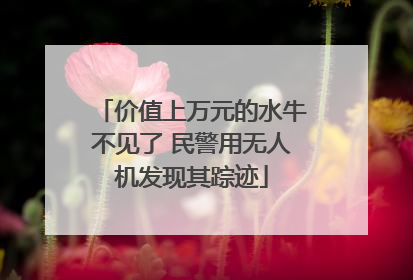 价值上万元的水牛不见了 民警用无人机发现其踪迹