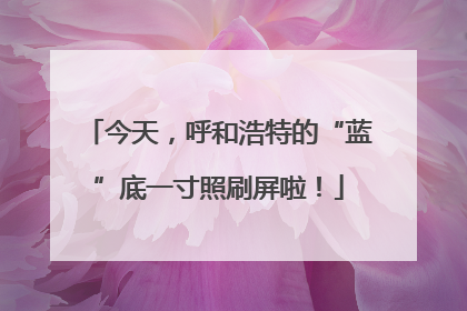 今天,呼和浩特的“蓝”底一寸照刷屏啦!
