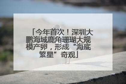 今年首次！深圳大鹏海域鹿角珊瑚大规模产卵，形成“海底繁星”奇观
