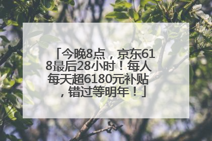 今晚8点，京东618最后28小时！每人每天超6180元补贴，错过等明年！
