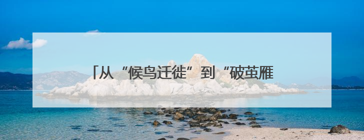 从“候鸟迁徙”到“破茧雁归” 会泽县“三翼齐飞”打造乡村振兴“创业雁阵”