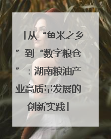 从“鱼米之乡”到“数字粮仓”：湖南粮油产业高质量发展的创新实践