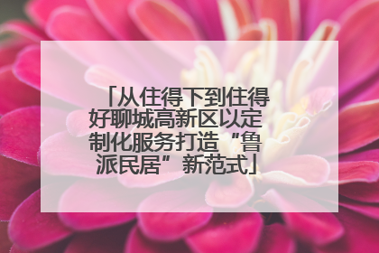 从住得下到住得好聊城高新区以定制化服务打造“鲁派民居”新范式