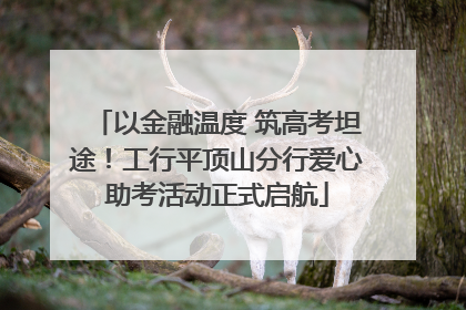 以金融温度 筑高考坦途！工行平顶山分行爱心助考活动正式启航
