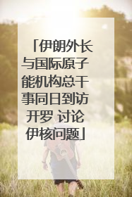 伊朗外长与国际原子能机构总干事同日到访开罗 讨论伊核问题