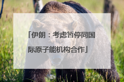 伊朗：考虑暂停同国际原子能机构合作