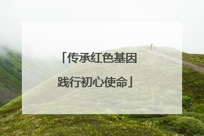 传承红色基因 践行初心使命