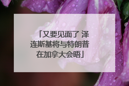 又要见面了 泽连斯基将与特朗普在加拿大会晤