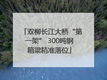 双柳长江大桥“第一架” 300吨钢箱梁精准落位
