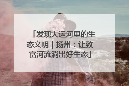 发现大运河里的生态文明｜扬州：让致富河流淌出好生态