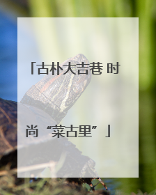 古朴大吉巷 时尚“菜古里”